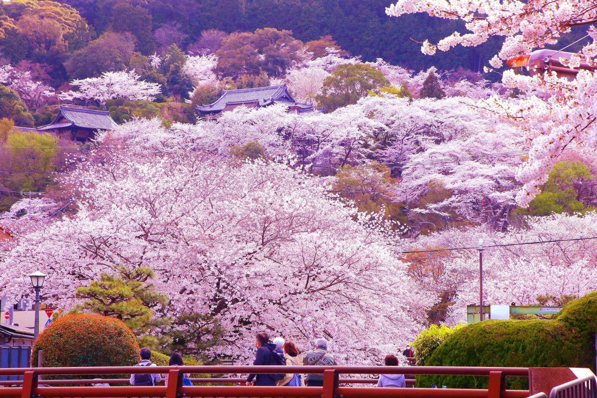 Hotel Honnoji Kyoto Eksteriør billede
